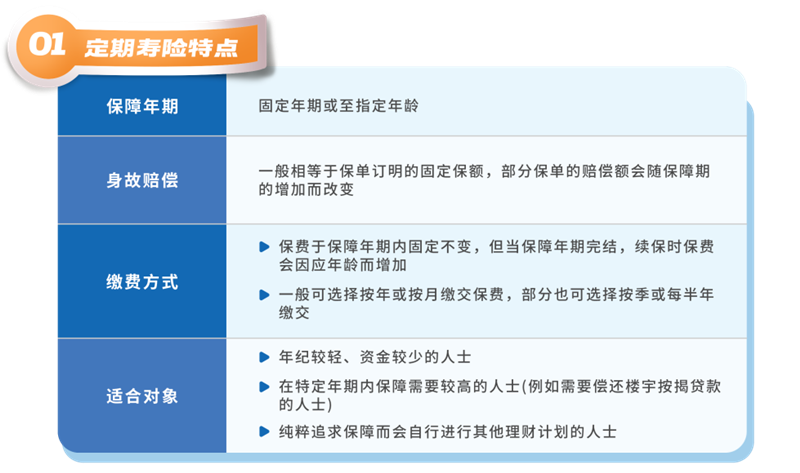定期寿险